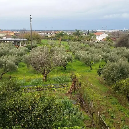 Via Degli Elleni - 2